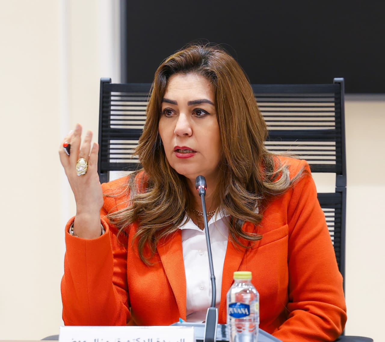 الدكتورة منال عمر وزيرة التنمية المحلية