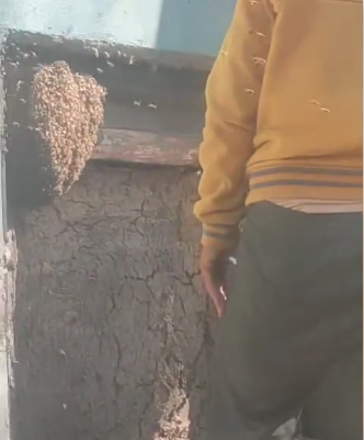 الخلية على باب المقبرة