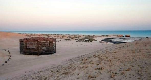 شواطئ ابو غصون 