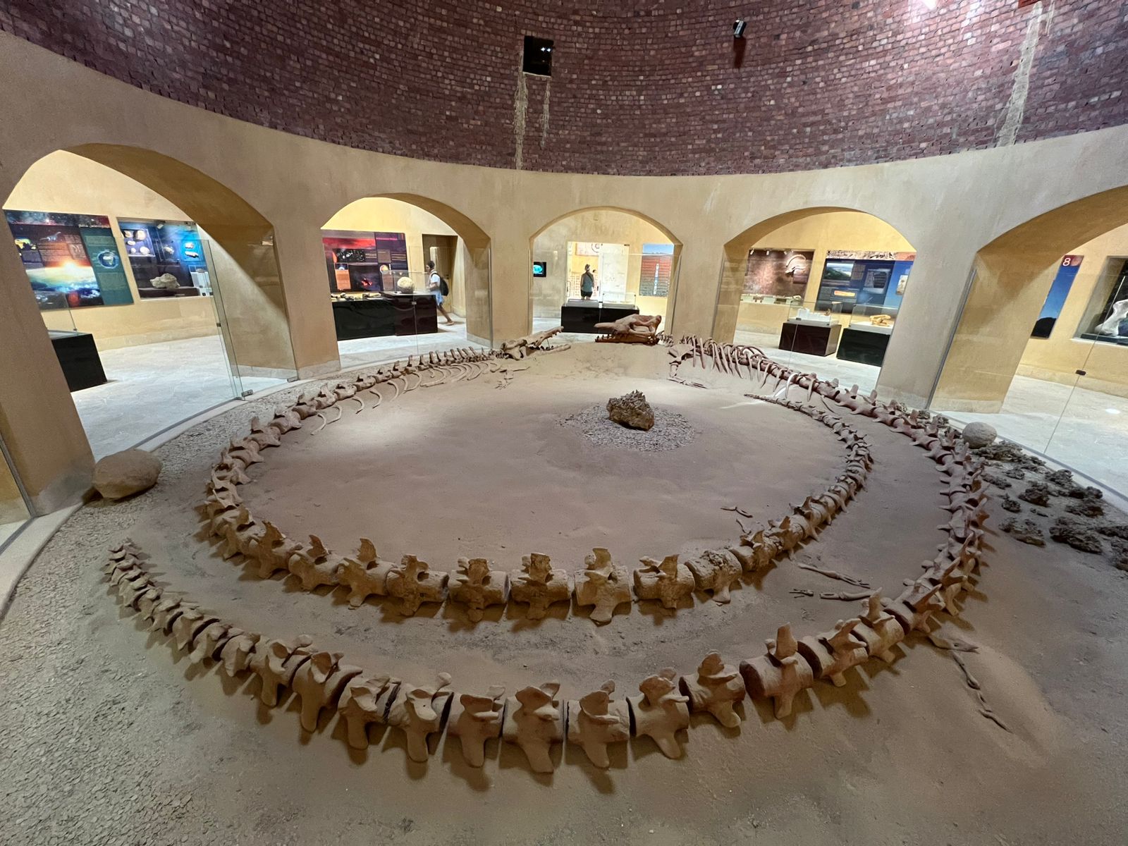 وادي الحيتان