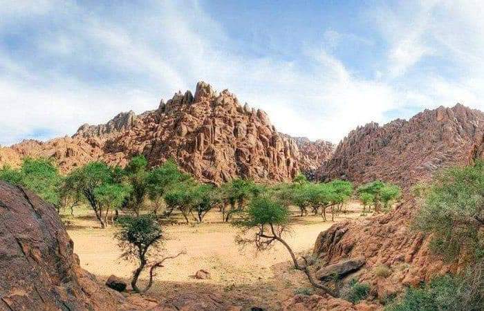 الطبيعة الجبلية فى ابو غصون 