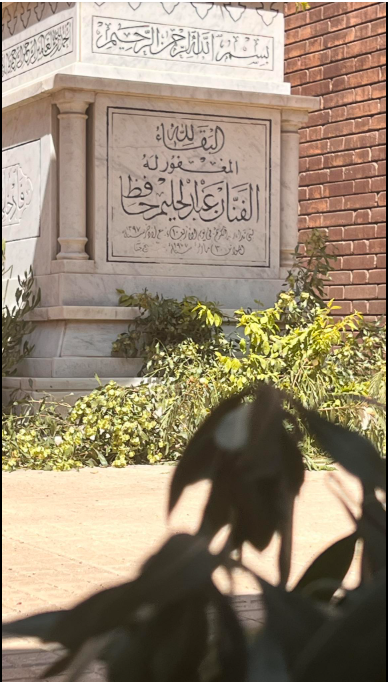 عبد الحليم حافظ