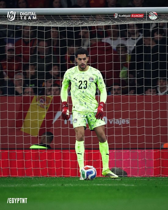 مصطفى شوبير