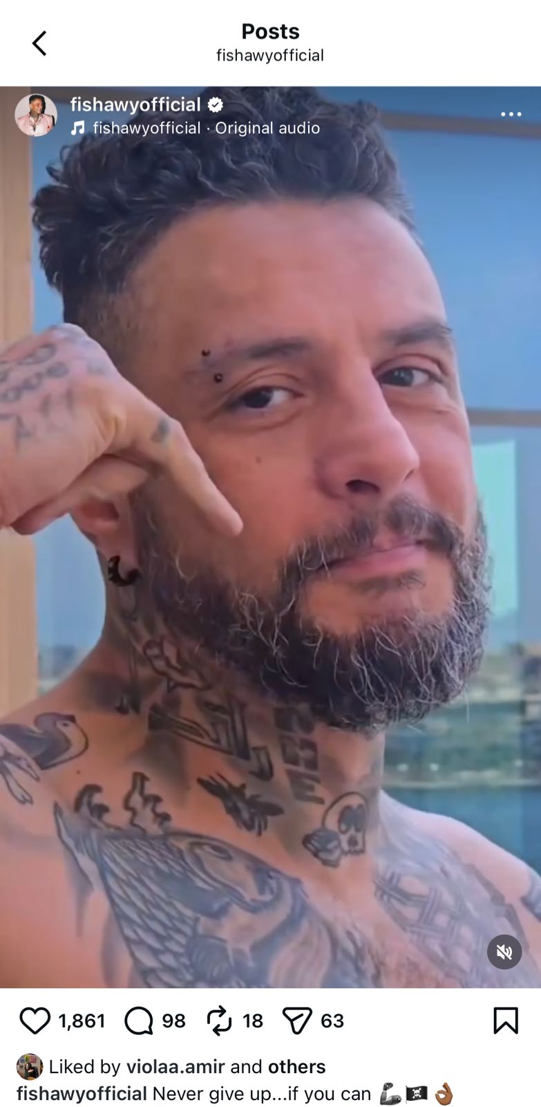 احمد الفيشاوي