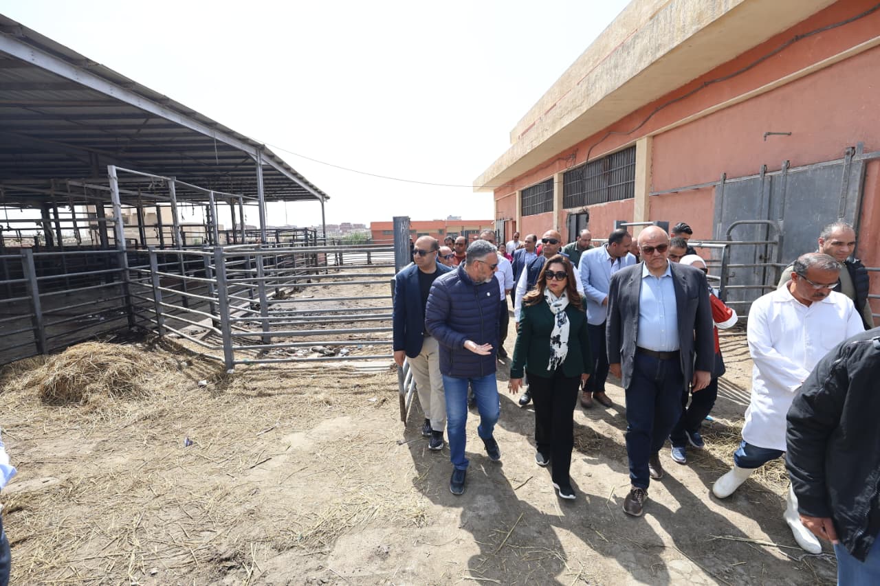 جانب من زيارة وزيرة التنمية المحلية والبيئة