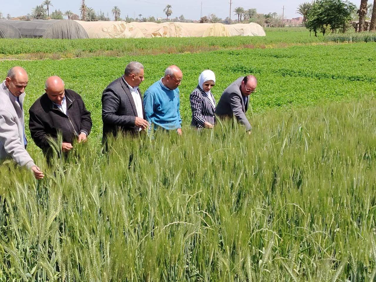 ندوات إرشادية.كاخل الحقول