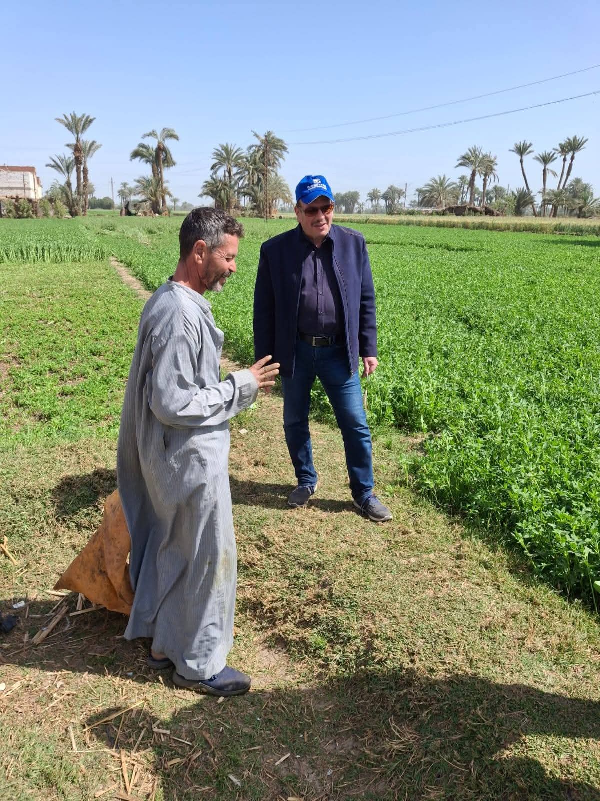 متابعة المحاصيل المزروعة