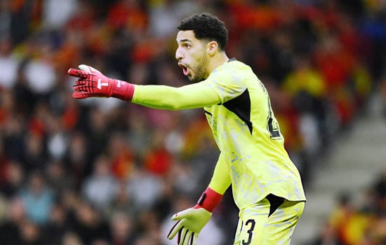 مصطفى شوبير