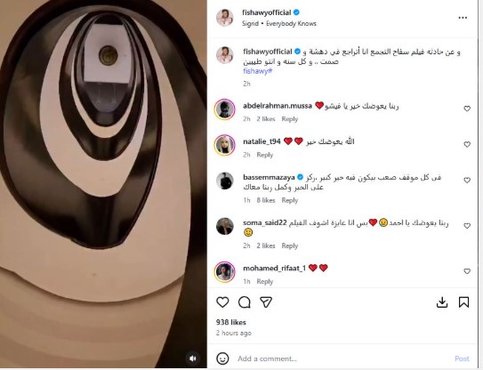 الفيشاوي