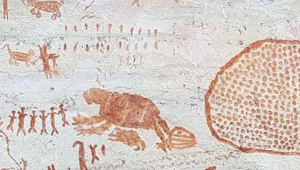 ضفادع الشوكولاتة