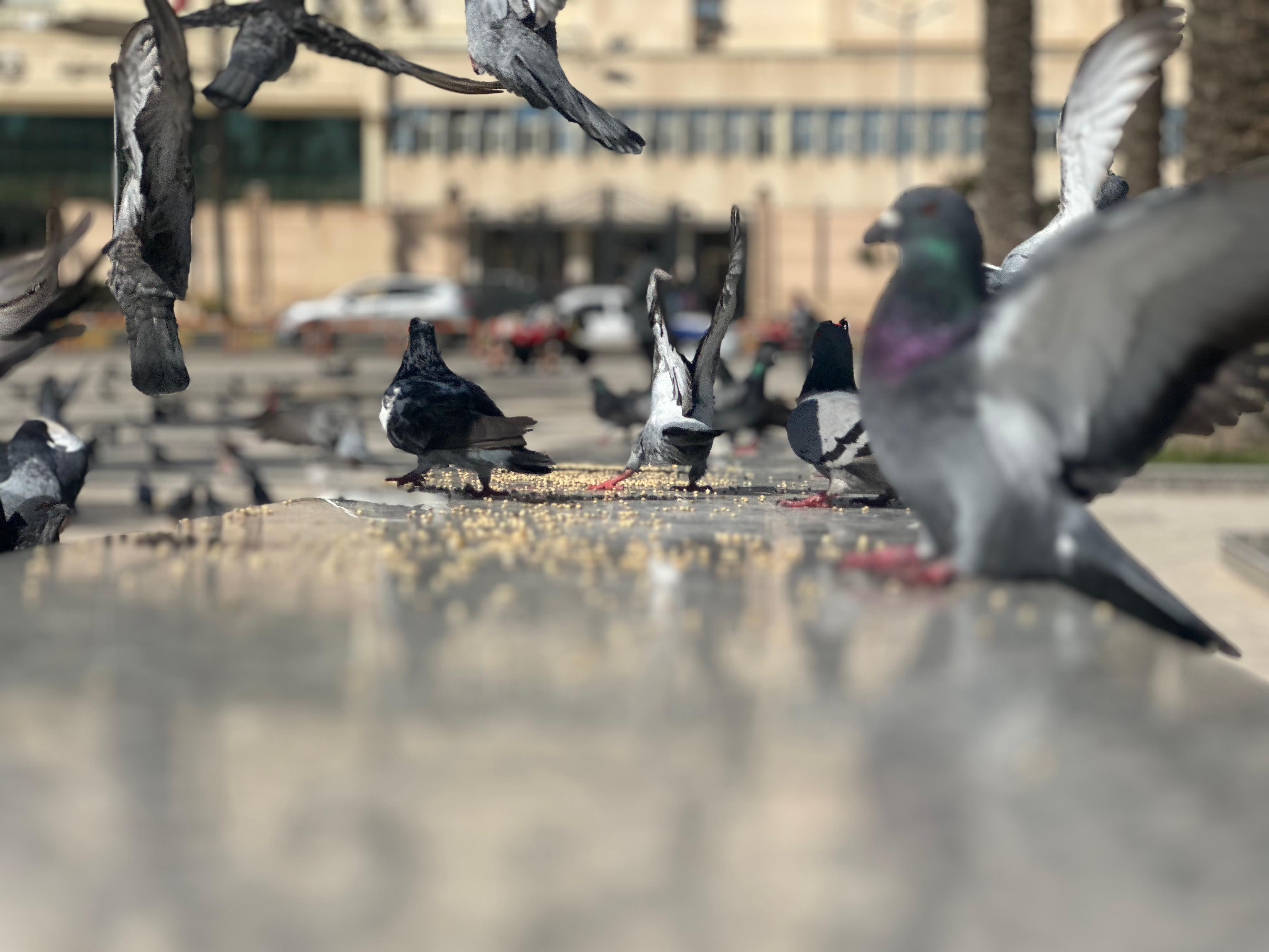 جانب من حمام المسلة جانب من حمام المسلة