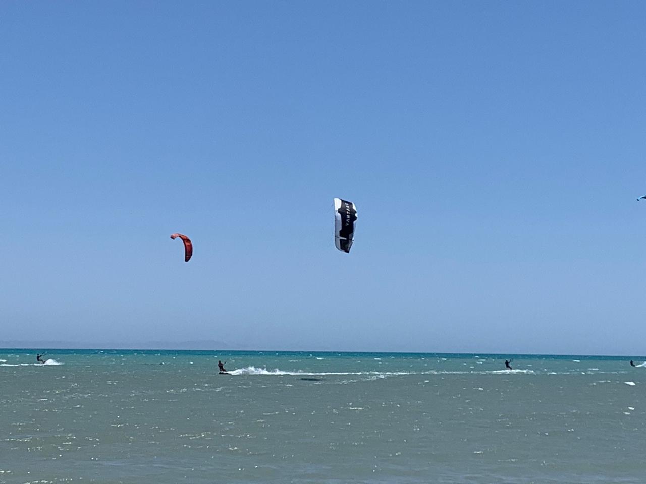 يصبون من بلادهم ومعهم ادواتهم الخاصة بها