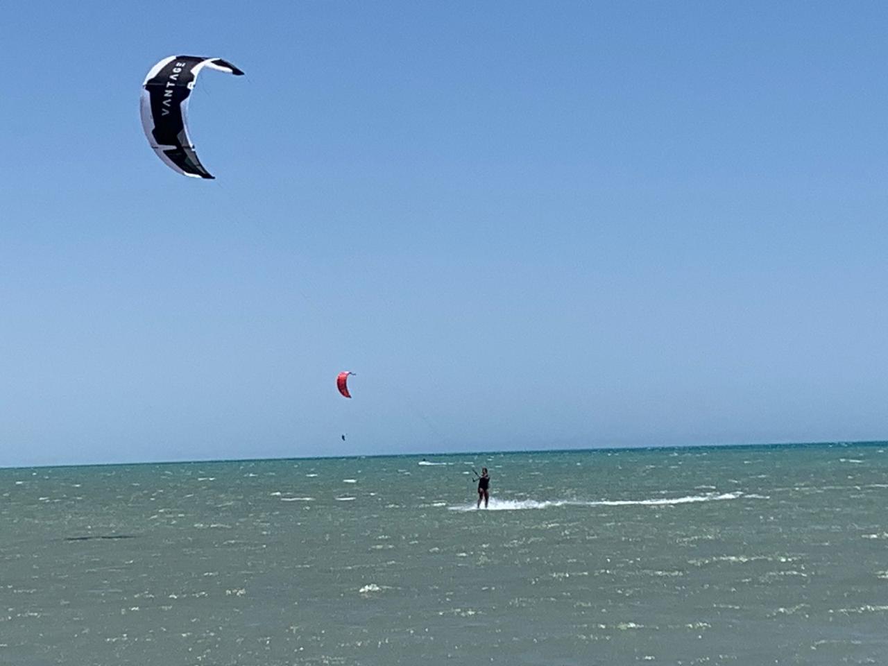 أغلب محبيها من أوربا 