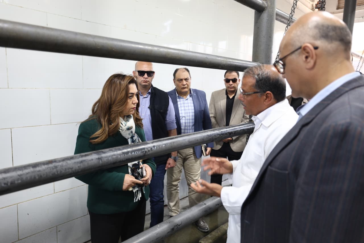 متابعة وزيرة التنمية المحلية والبيئة لمديرية الطب البيطرى بالإسكندرية