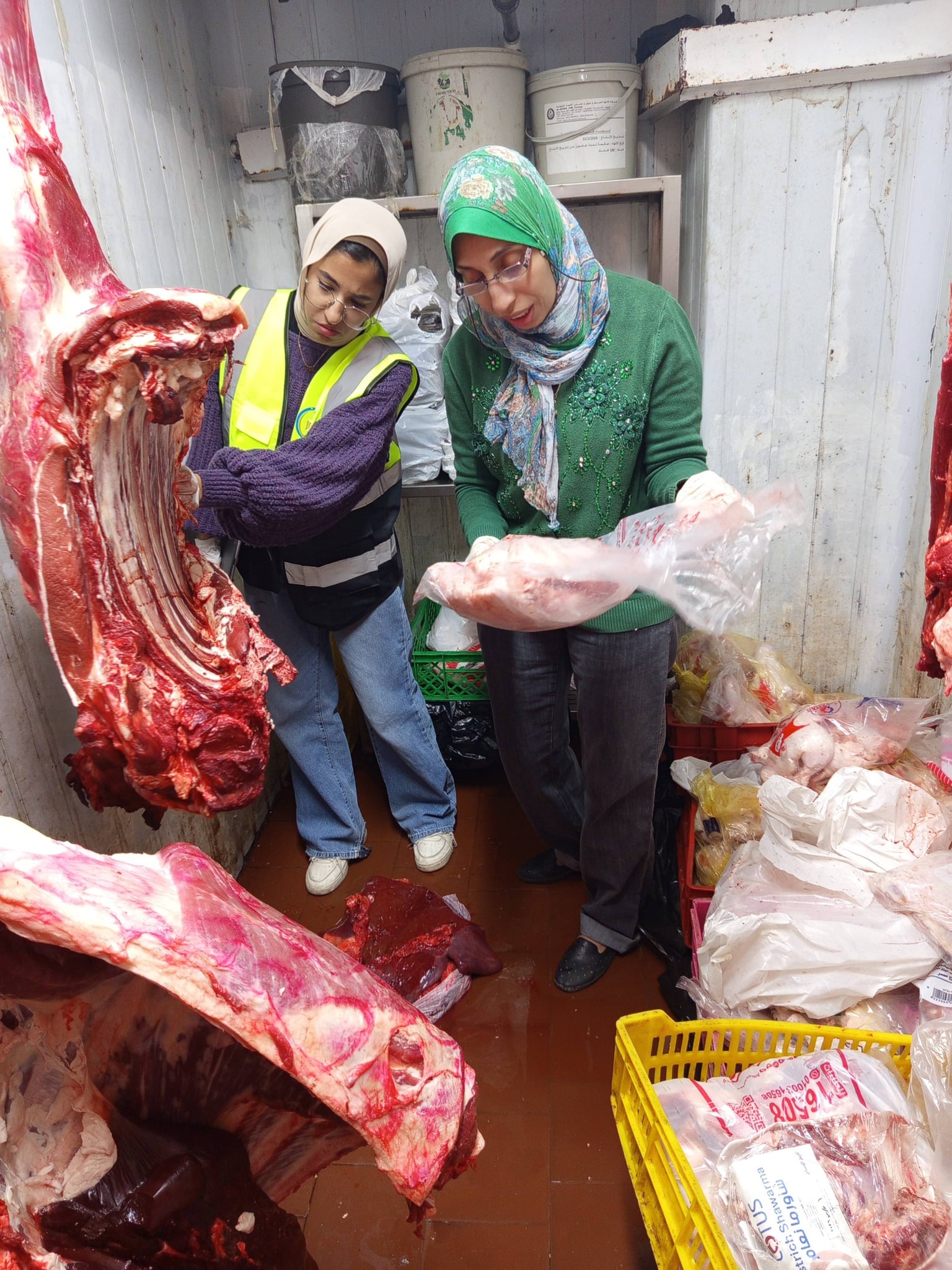 ضبط 50 كيلو لحوم وكبدة ومفروم وبط منتهية الصلاحية في الأقصر