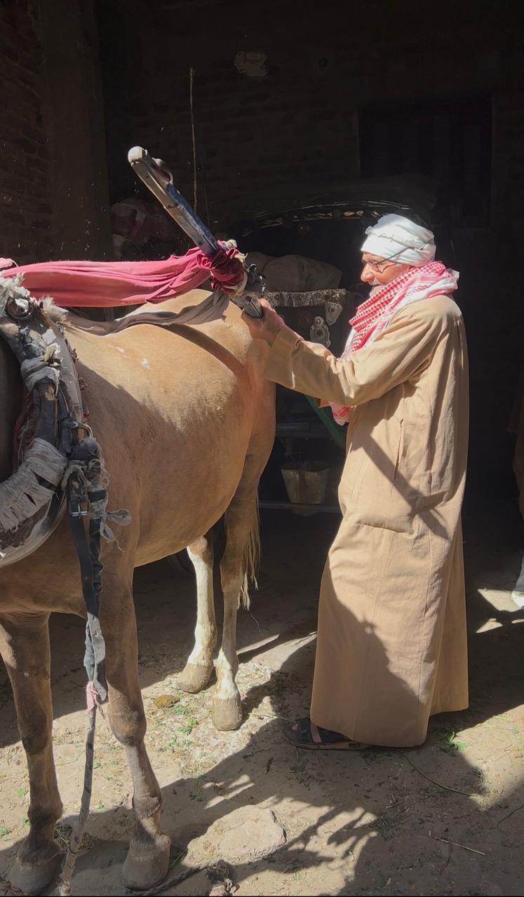اثناء تجهيز الحنطور للخروج