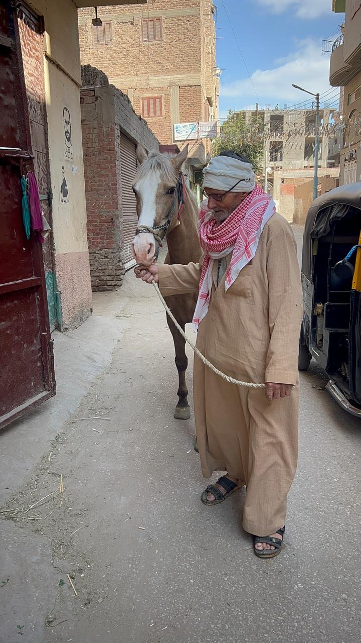 عم بركات وحصانه