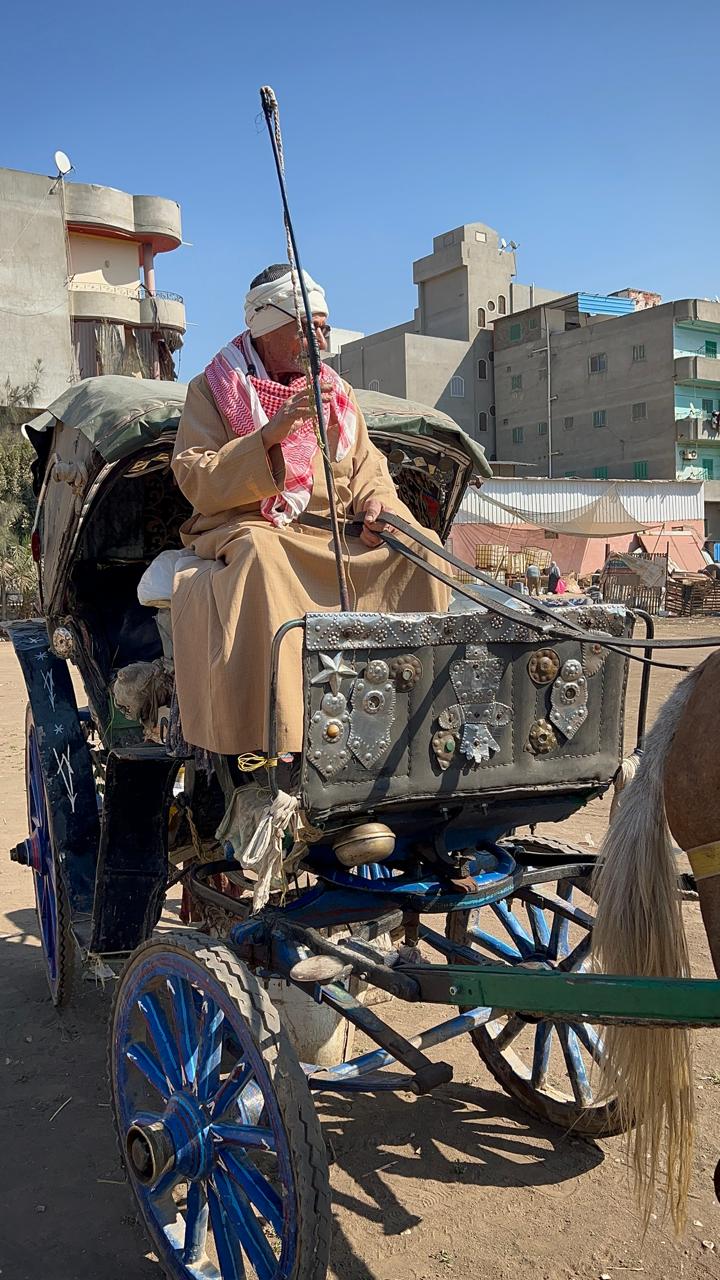 الحنطور الوحيد الذي مازال موجودا