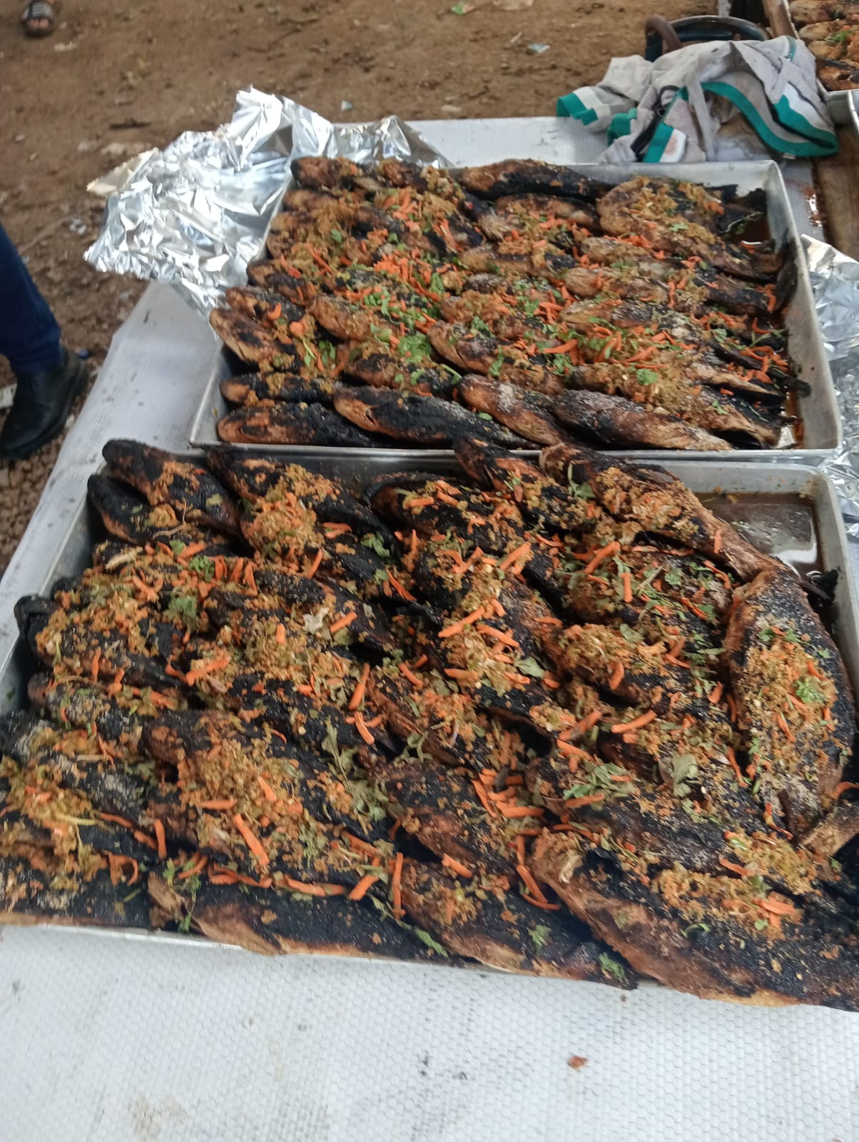 أسماك بالمائدة