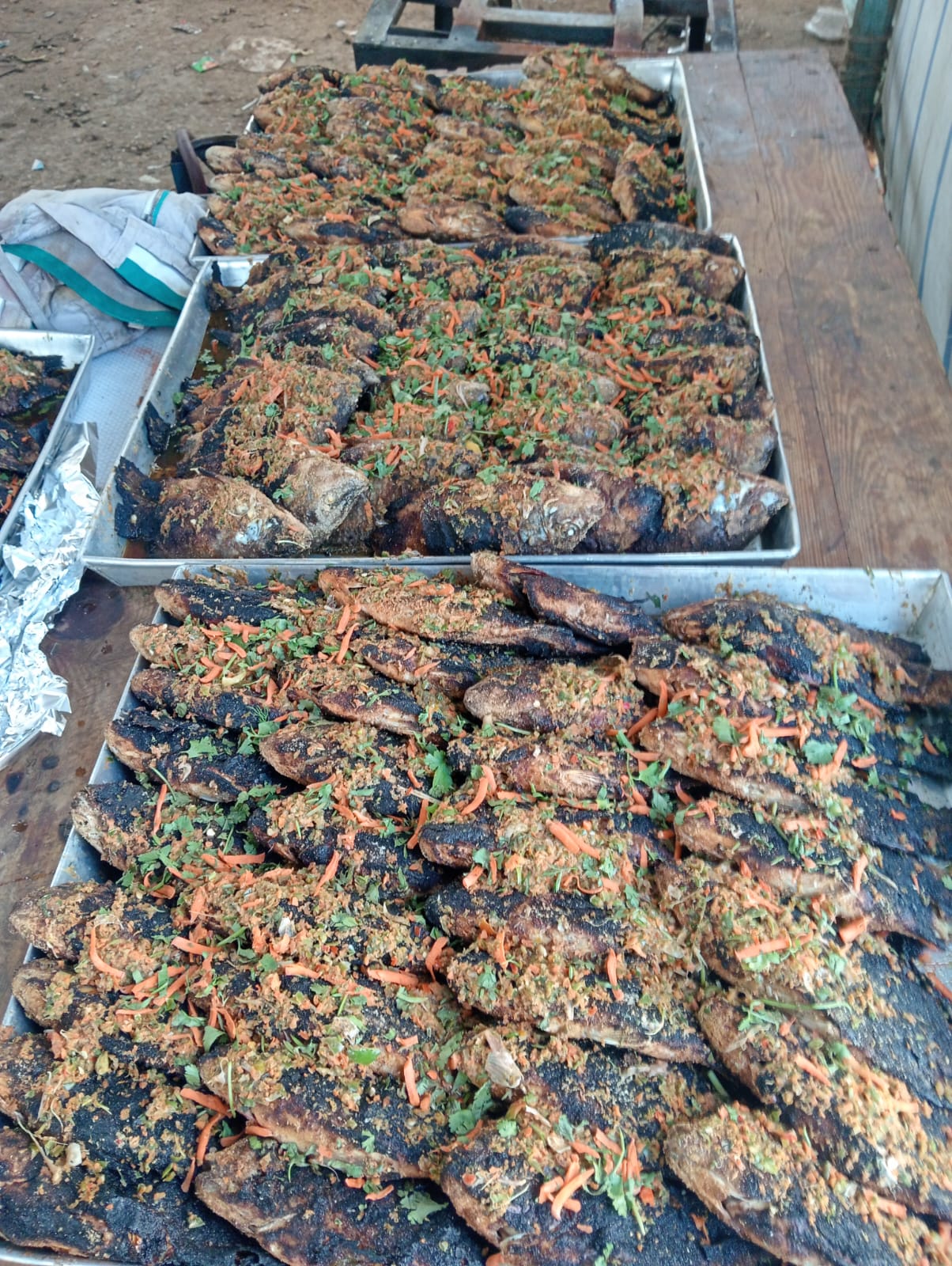 جانب من الاسماك