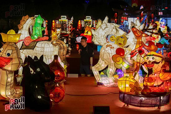 مجسمات مضيئة تخطف الأنظار