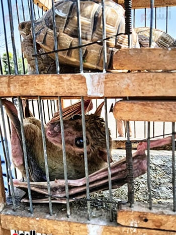 250821-جانب-من-المضبوطات