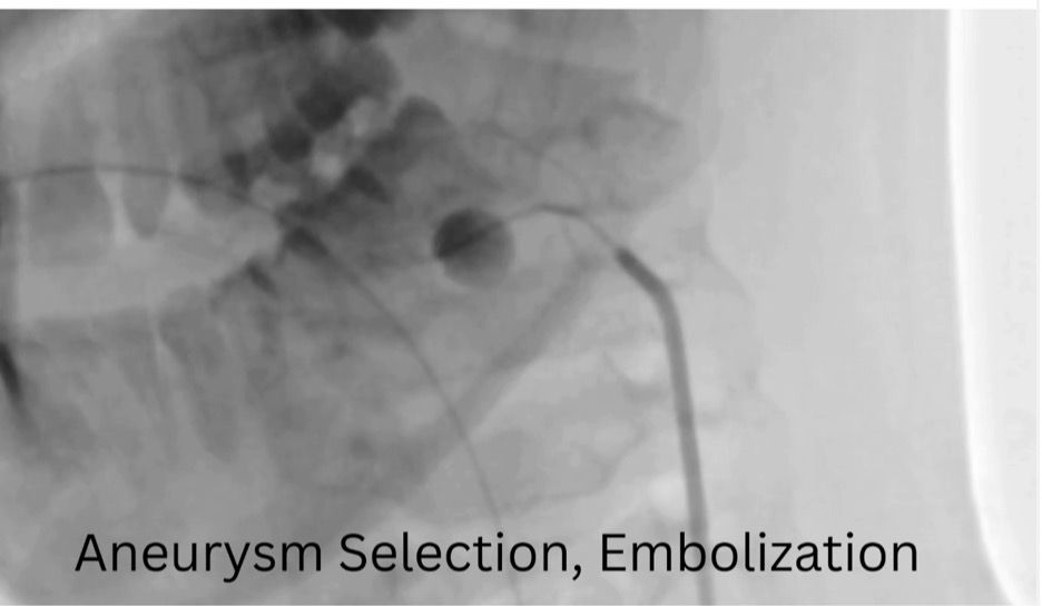 WhatsApp Image 2026-03-07 at 1.08.40 PM