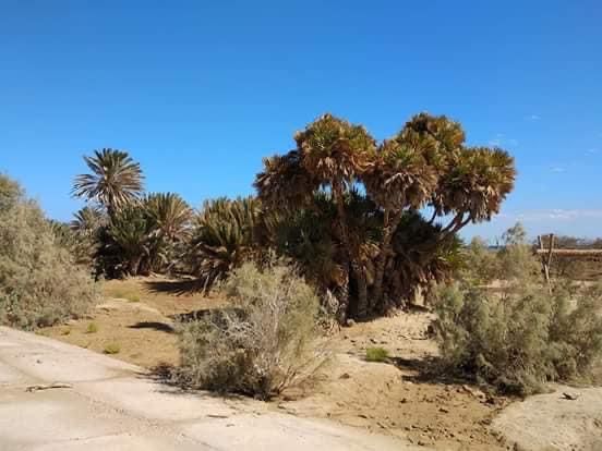 تستقبل مياه السيول تستقبل مياه السيول