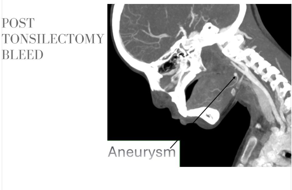 WhatsApp Image 2026-03-07 at 1.08.39 PM (1)