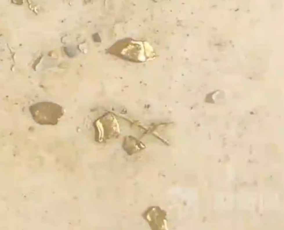 جزيئات المعدن الثمين بعد استخراجها من الطائر