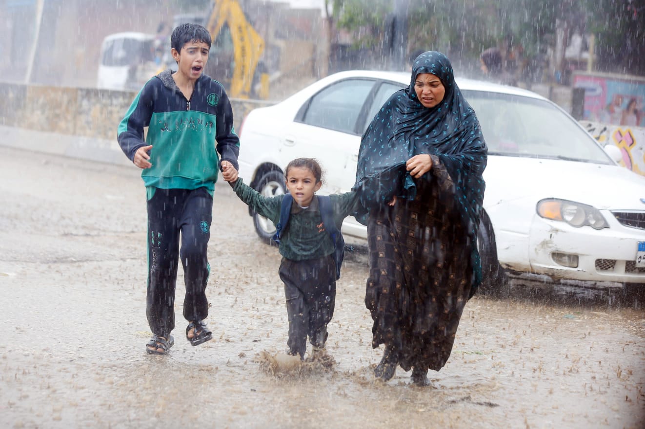 الصورة الفائزة