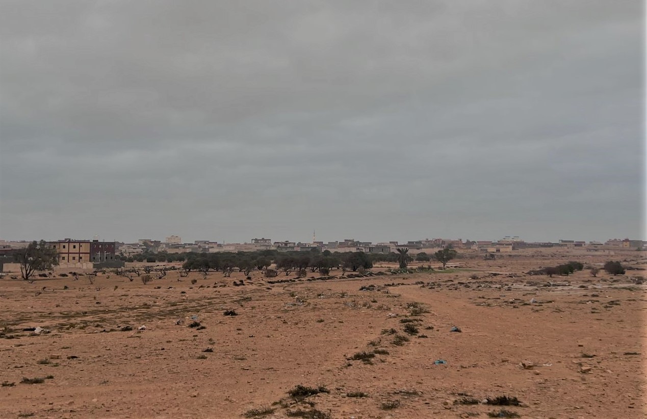 الامطار تروي الزراعات وتملأ الابار بمطروح