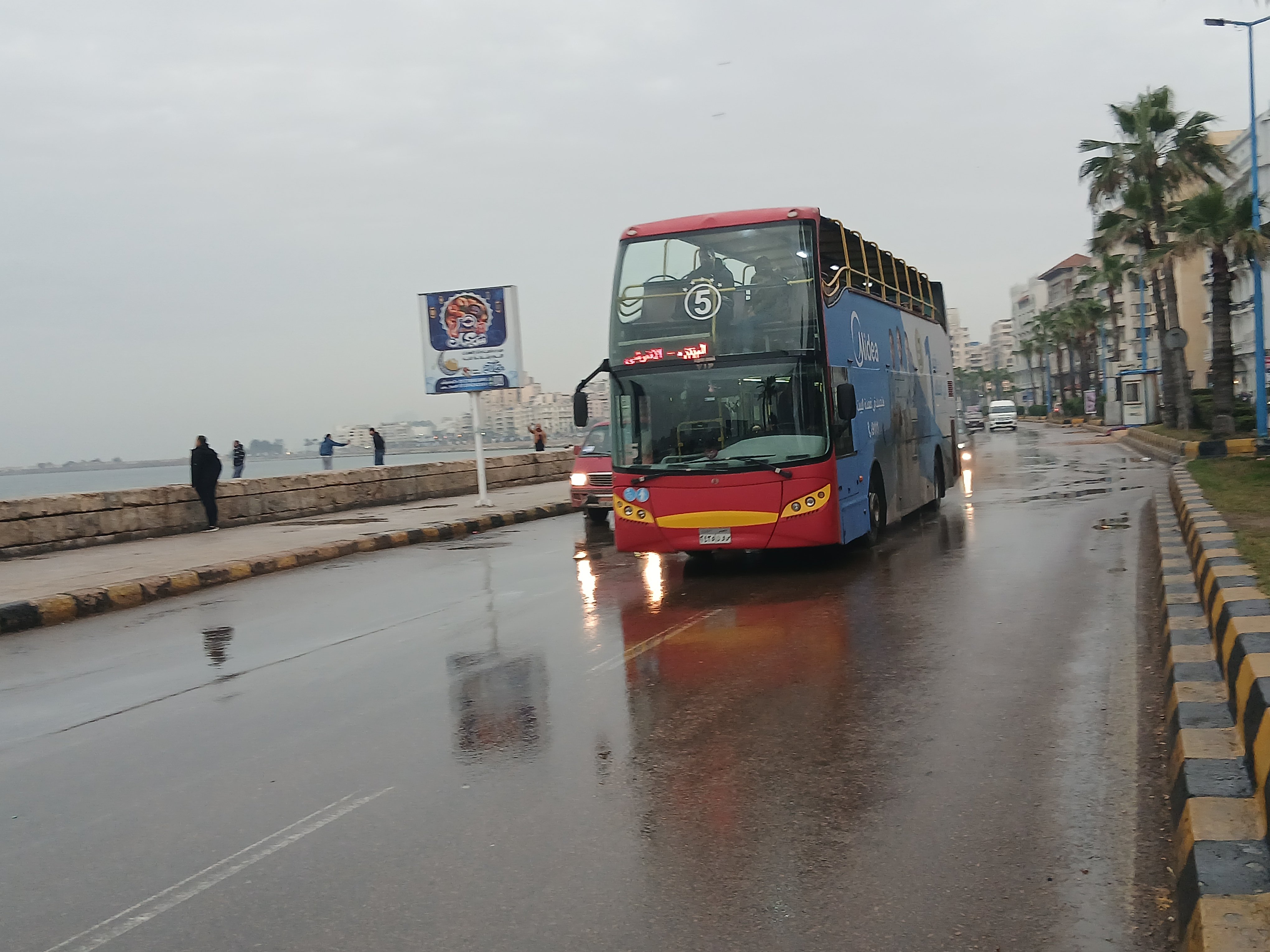 الأمطار  في  الإسكندرية  اليوم