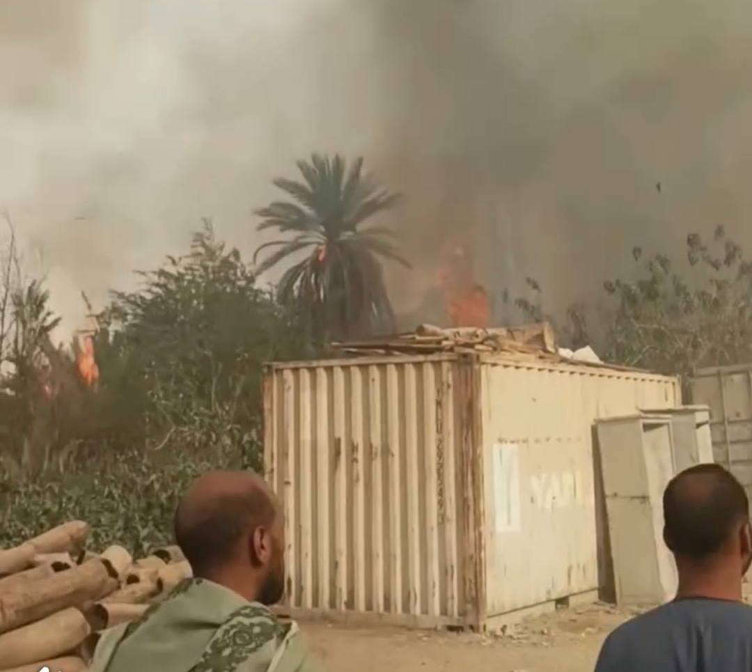 حريق في زراعات النخيل بقرية النمسا جنوب الأقصر