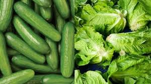 تناول الخضروات