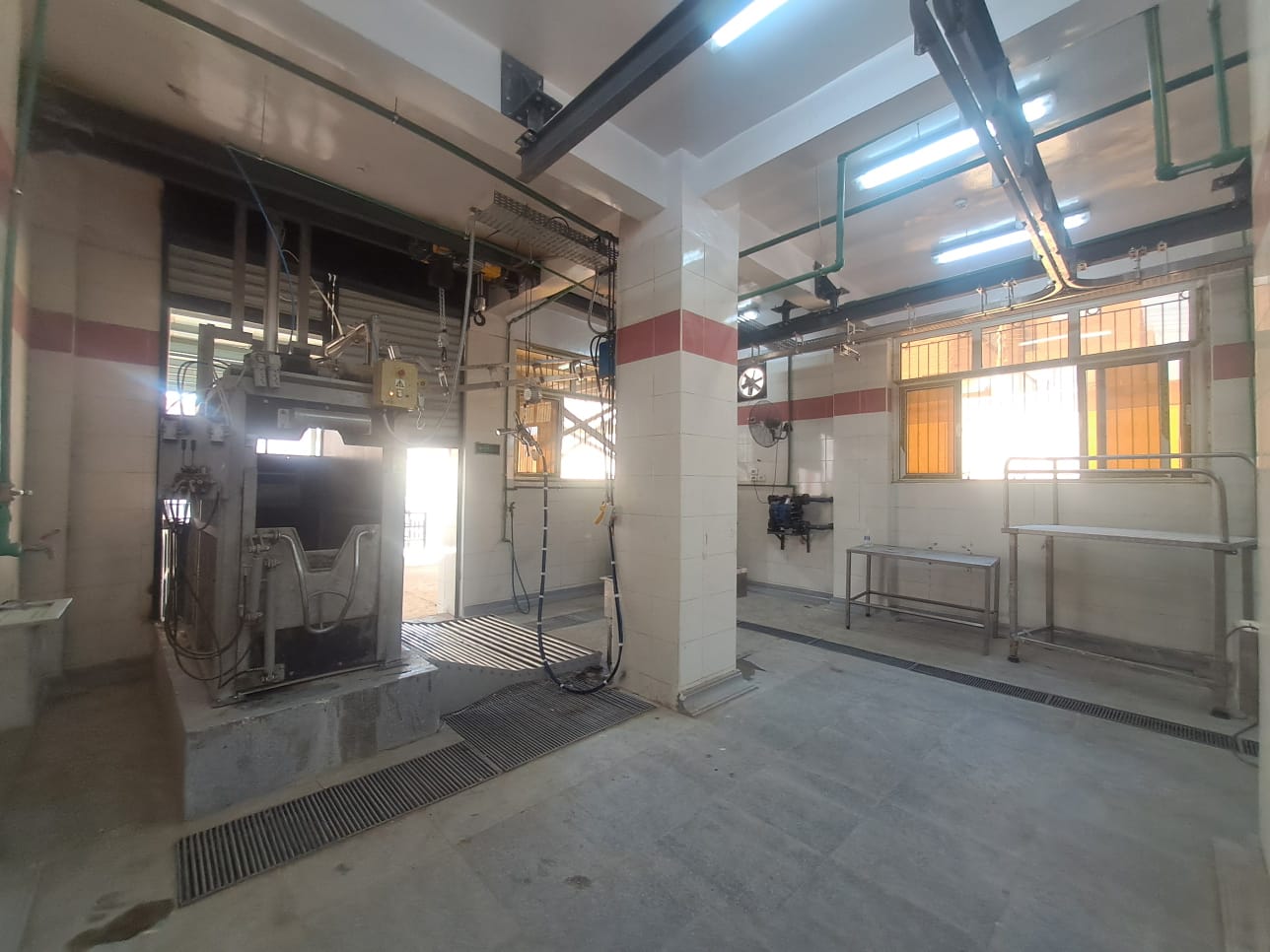 تشغيل مجزر سوهاج العام (1)