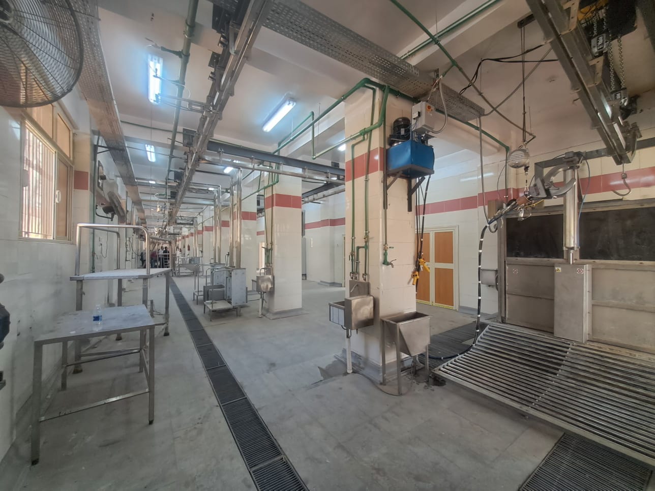 تشغيل مجزر سوهاج العام (4)