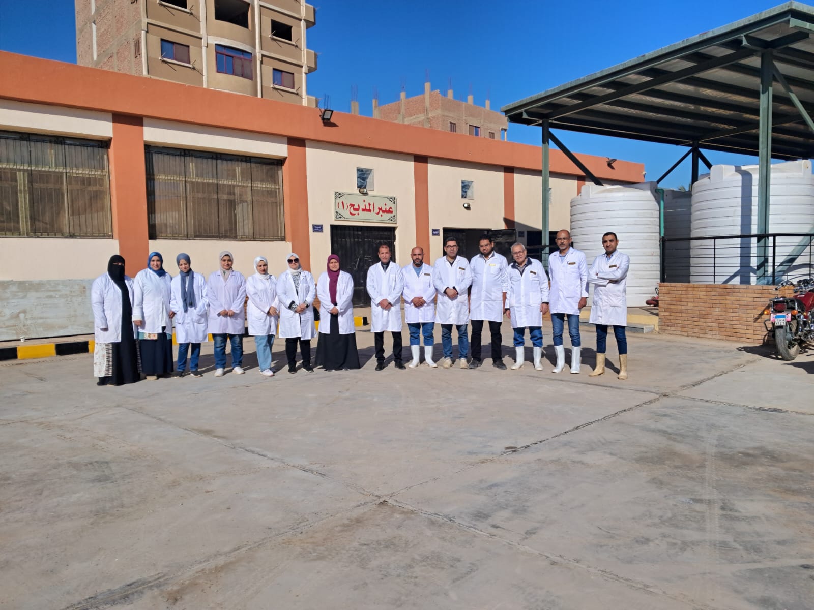 تشغيل مجزر سوهاج العام (3)