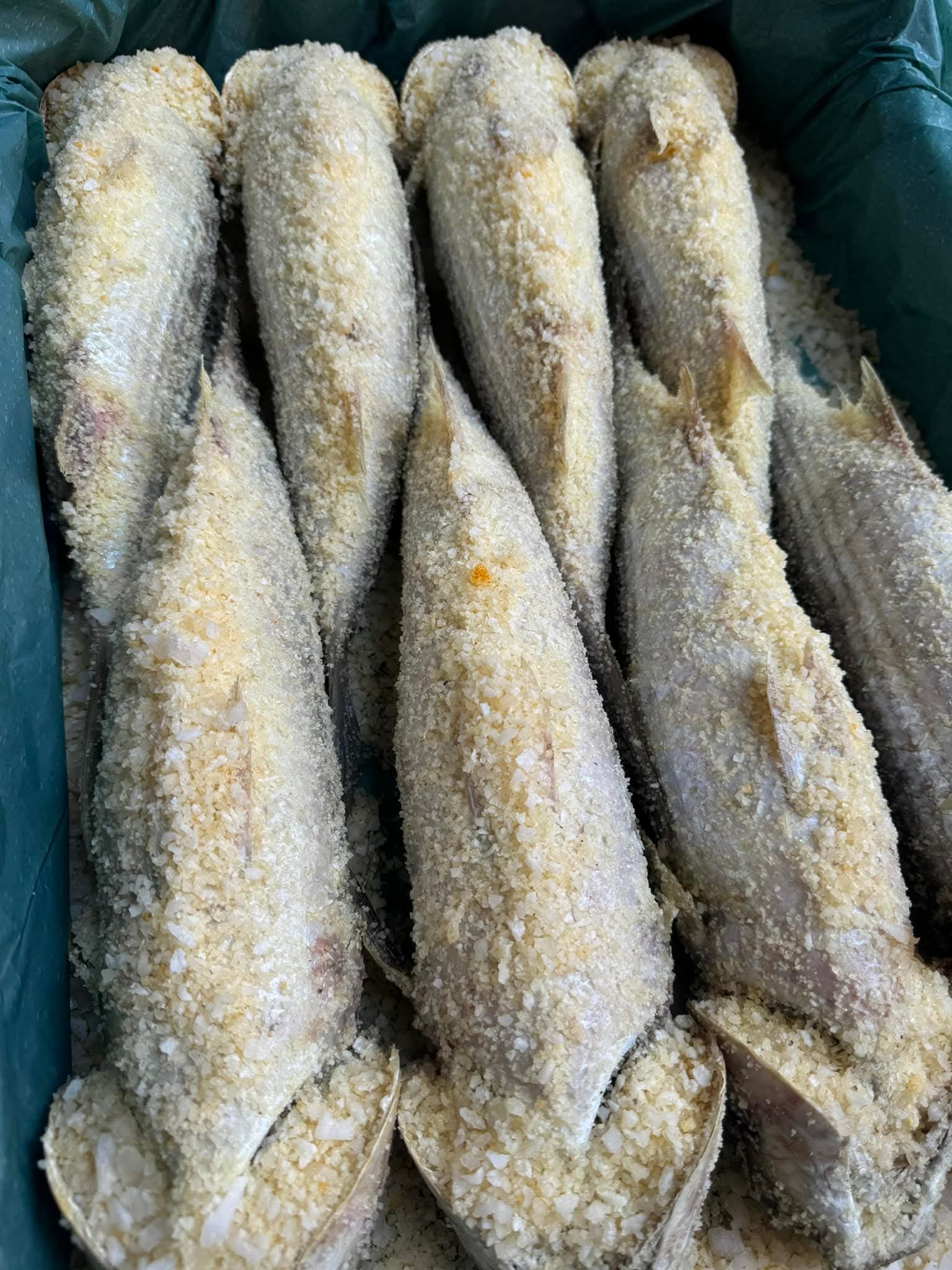 1000087438 1000087438