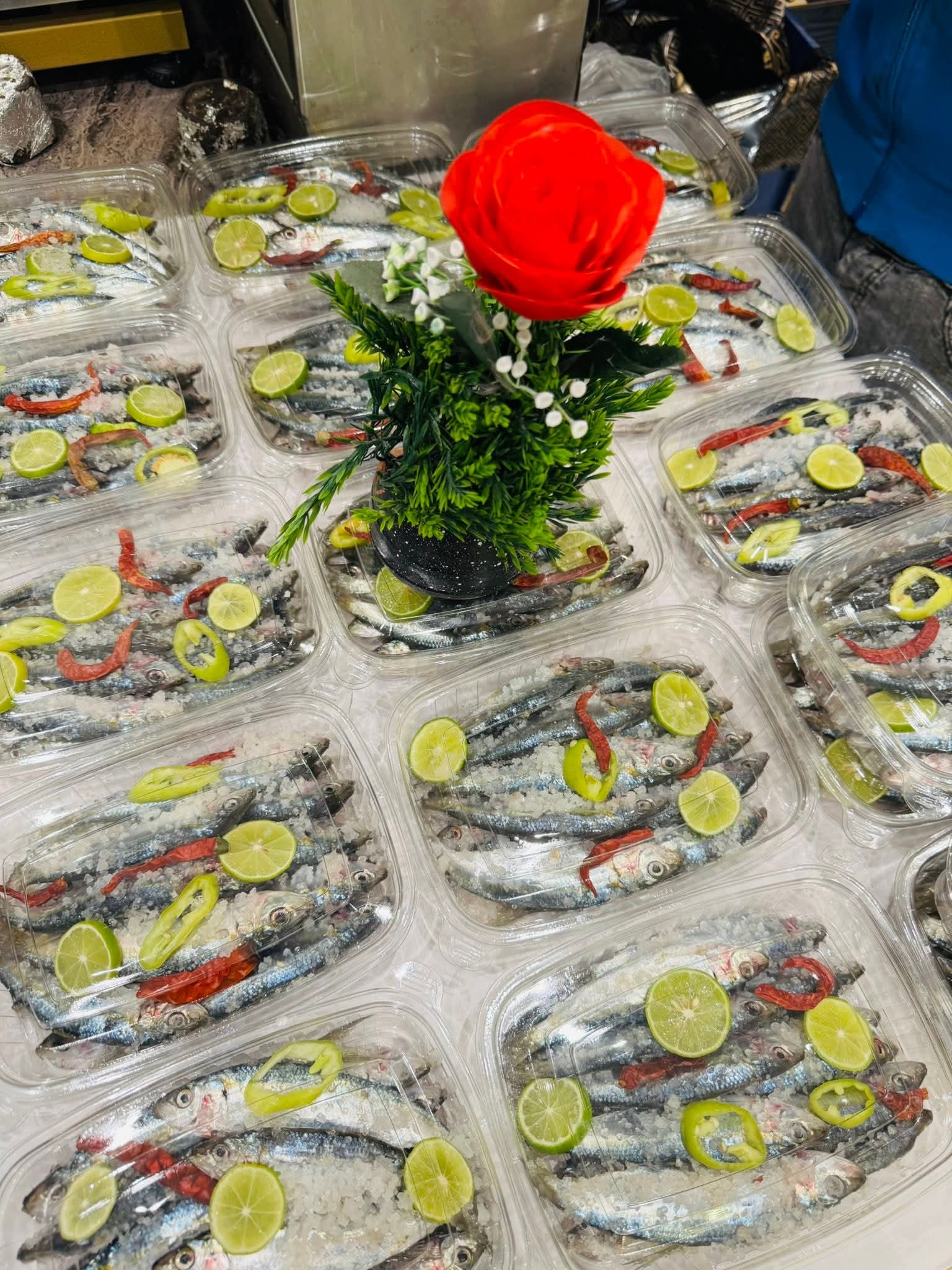 1000087435 1000087435