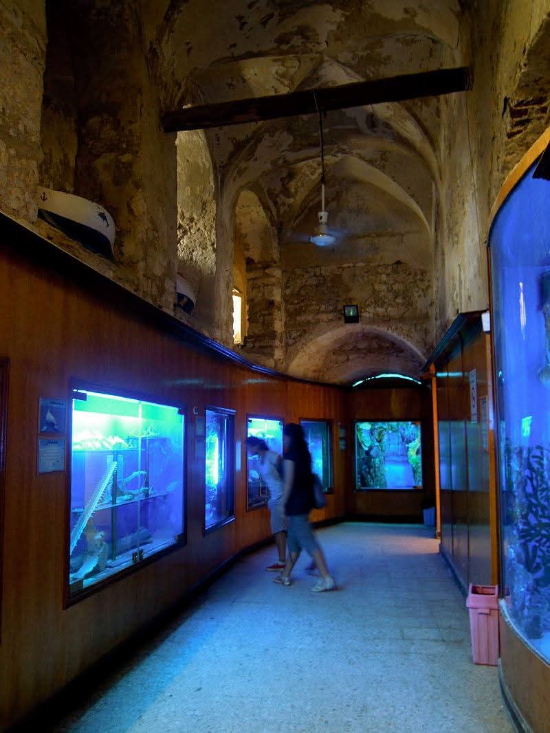 احد الزيارات بالمتحف احد الزيارات بالمتحف