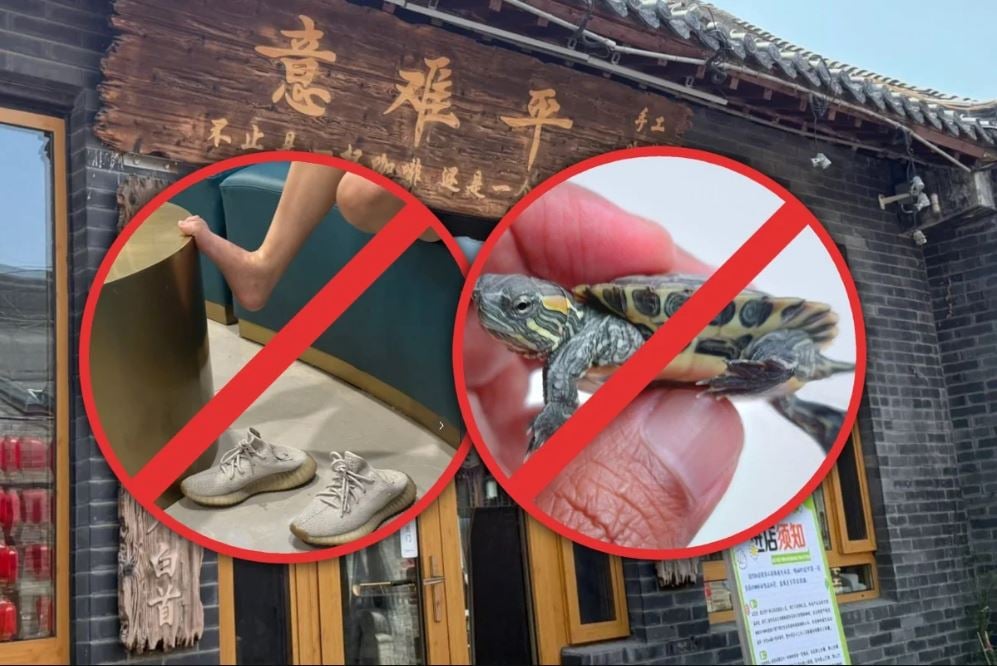 قواعد غريبة لدخول مقهى صيني