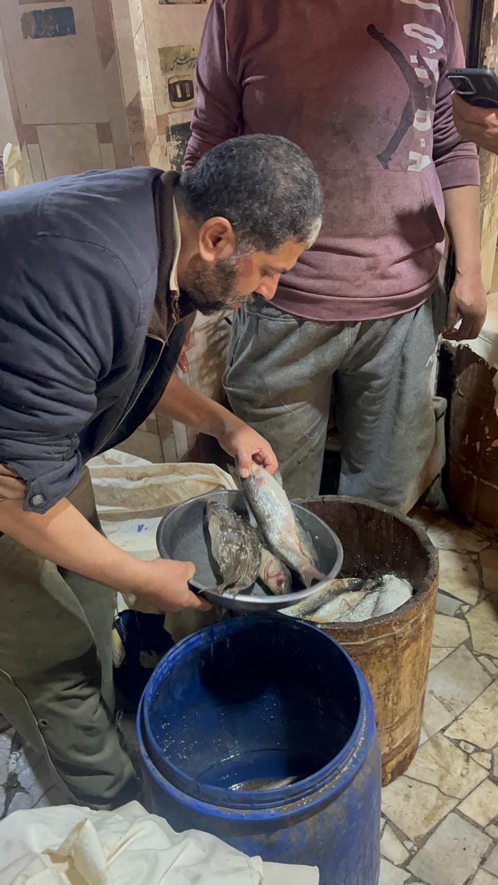 وزن فسيخ حجم وسط