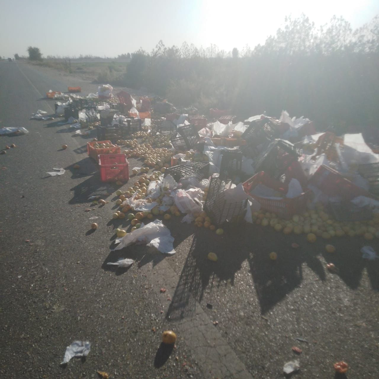 انقلاب سيارة نقل محملة بالجوافة انقلاب سيارة نقل محملة بالجوافة