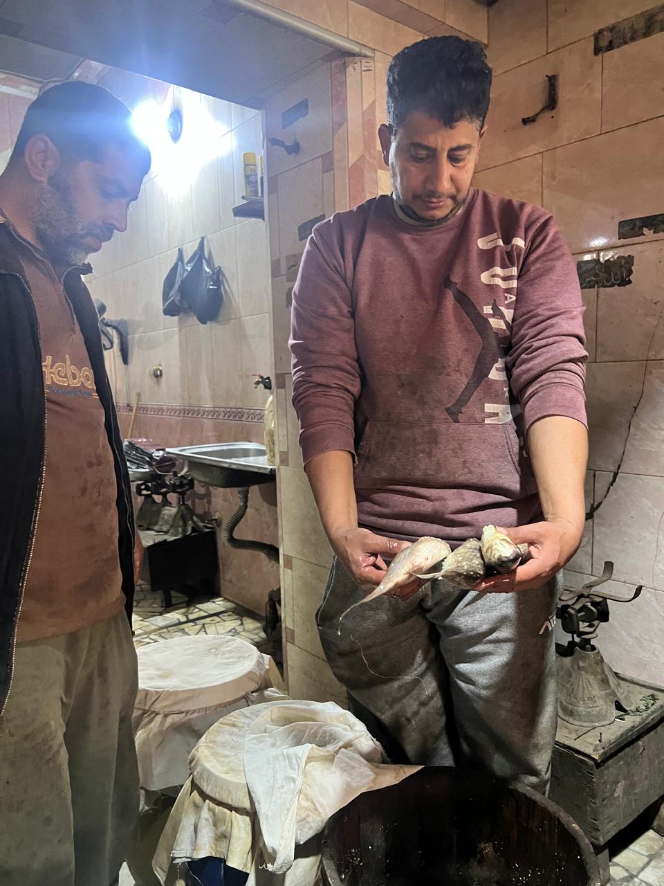 أحجام مختلفة من الفسيخ_1