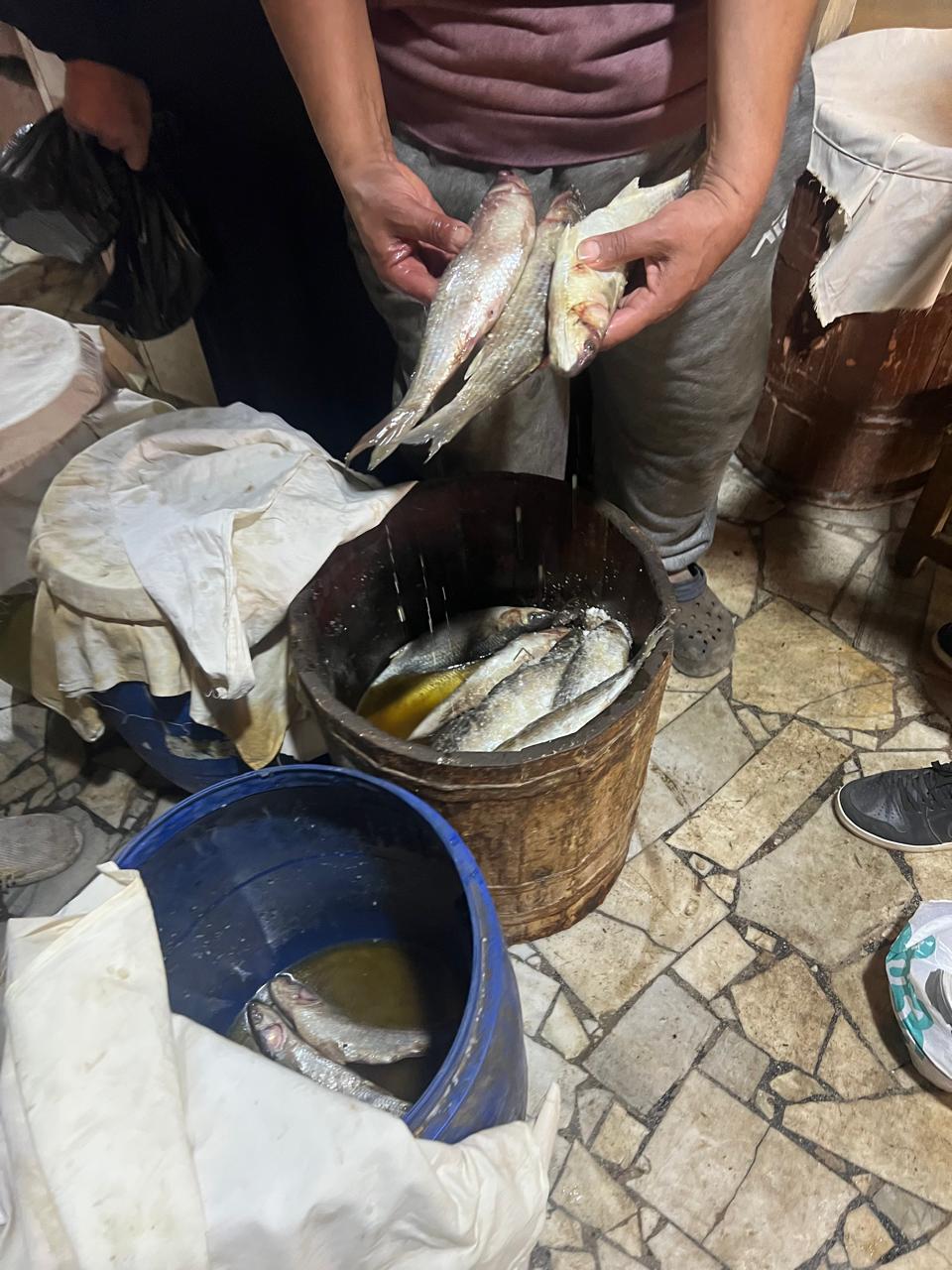 رواج في سوق الأسماك المملحة بالدقهلية