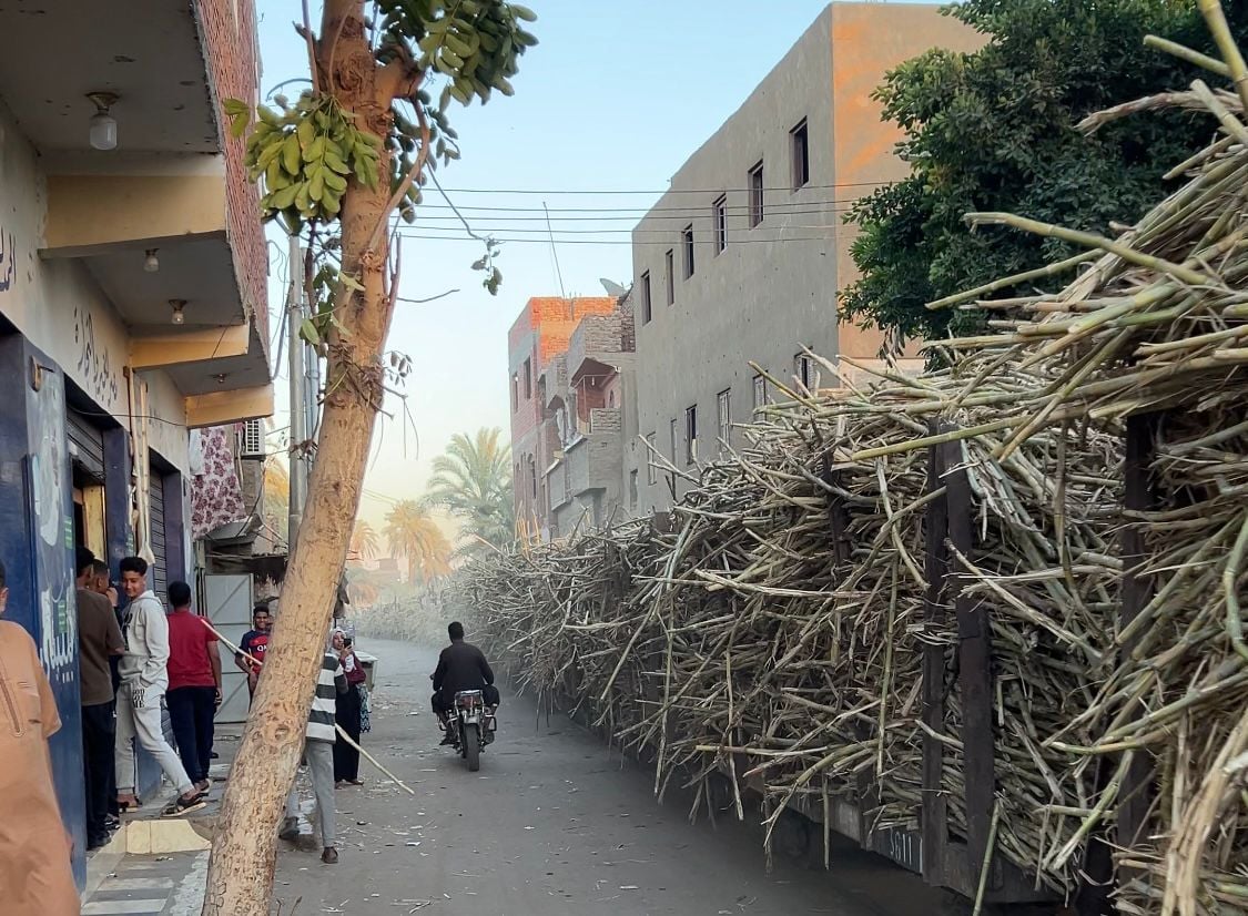 القطار وسط المنازل