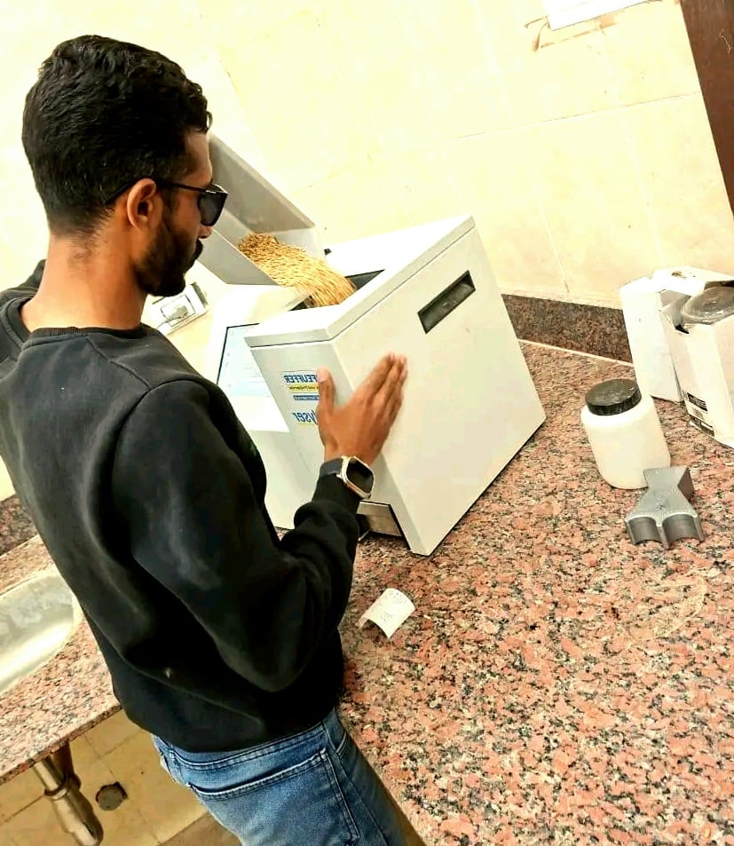 اعمال فرز القمح باحدث التقنيات