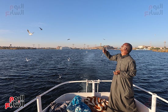 مراقبة-الطيور