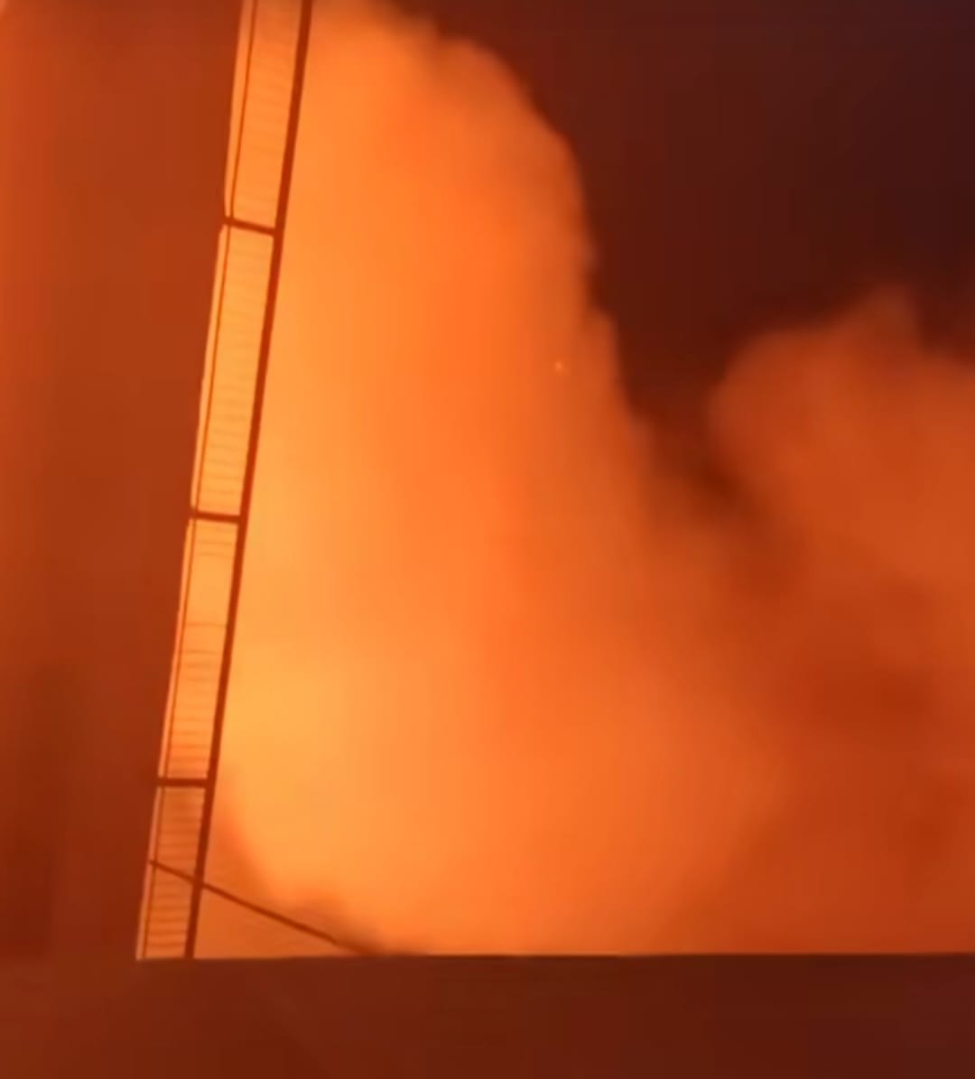 اندلاع حريق مخلفات وأشجار فى منطقة المنيب (2)